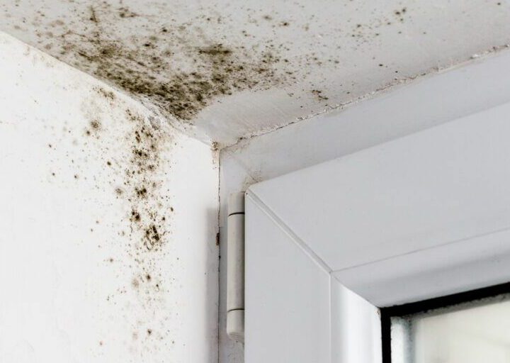 How to Deal with a Leaking Roof